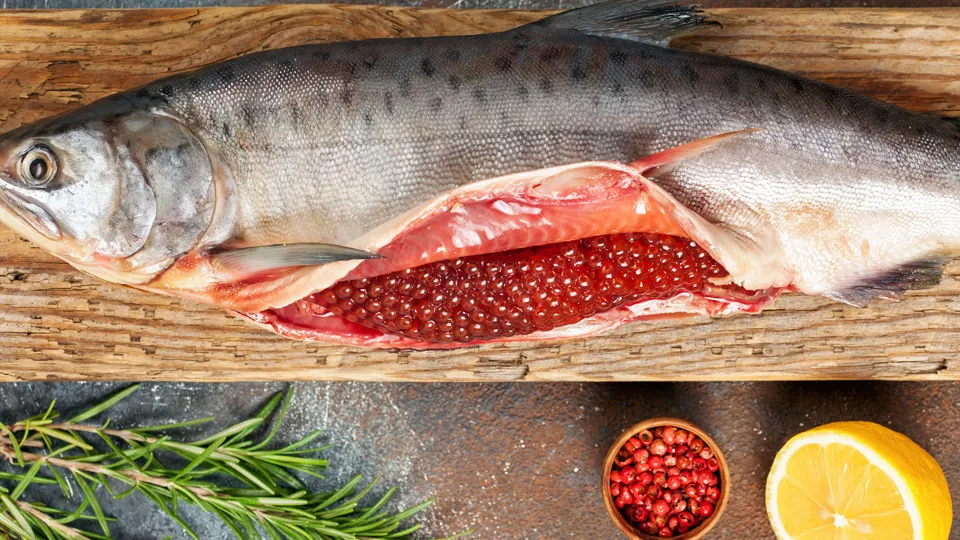 Фото: istockphoto.com/MurzikNata