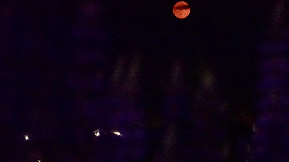 Фото: МедиаБанк Подмосковья/Дарья Леонова