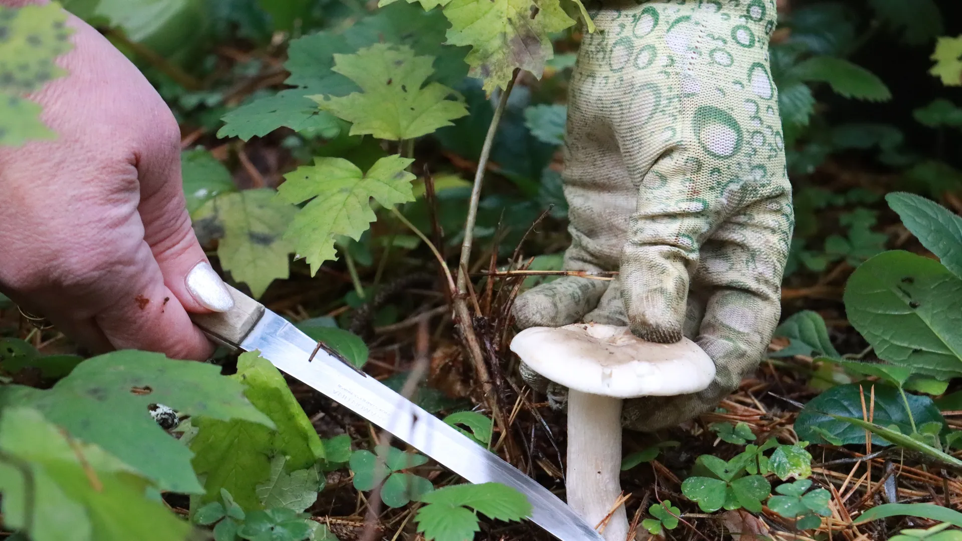 Фото: МедиаБанк Подмосковья/Андрей Алекин