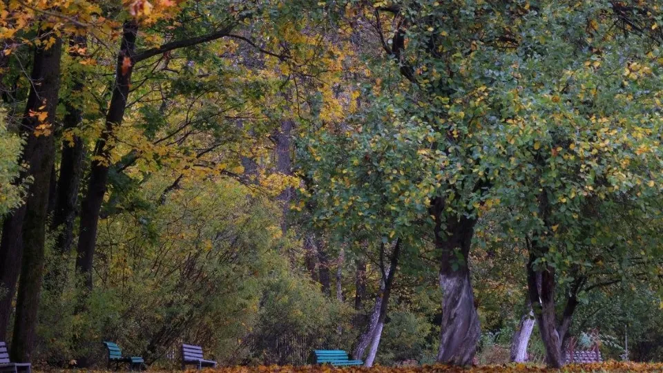 Фото: t.me/chekhovmuseum/Музей «Мелихово»