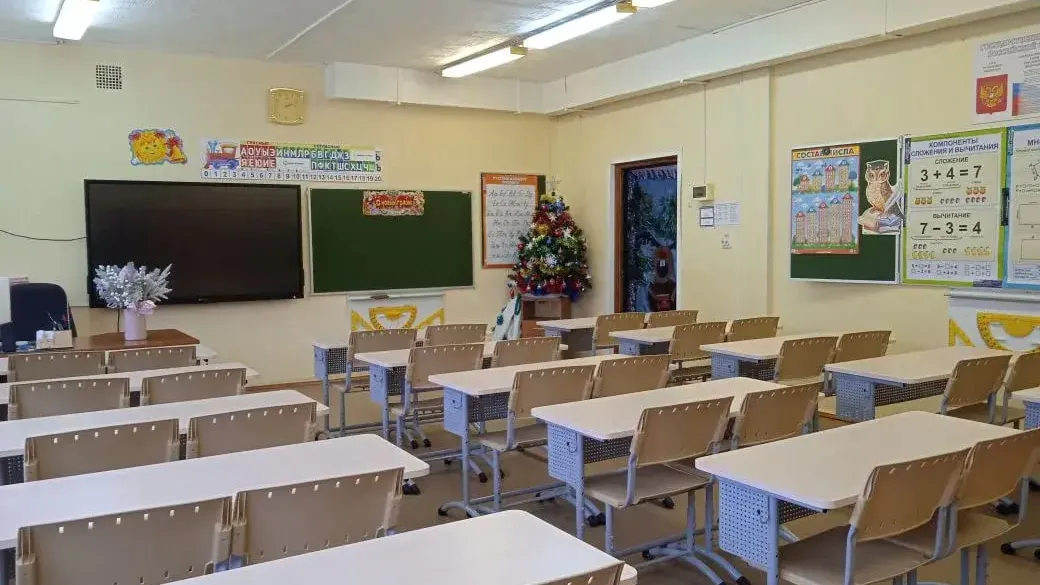 Фото: лицей г. Шатуры