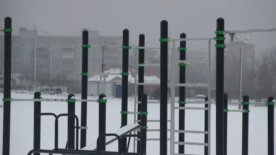 Фото: Василий Тремасов