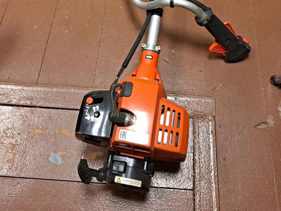 Фото: Ирина Зубарева