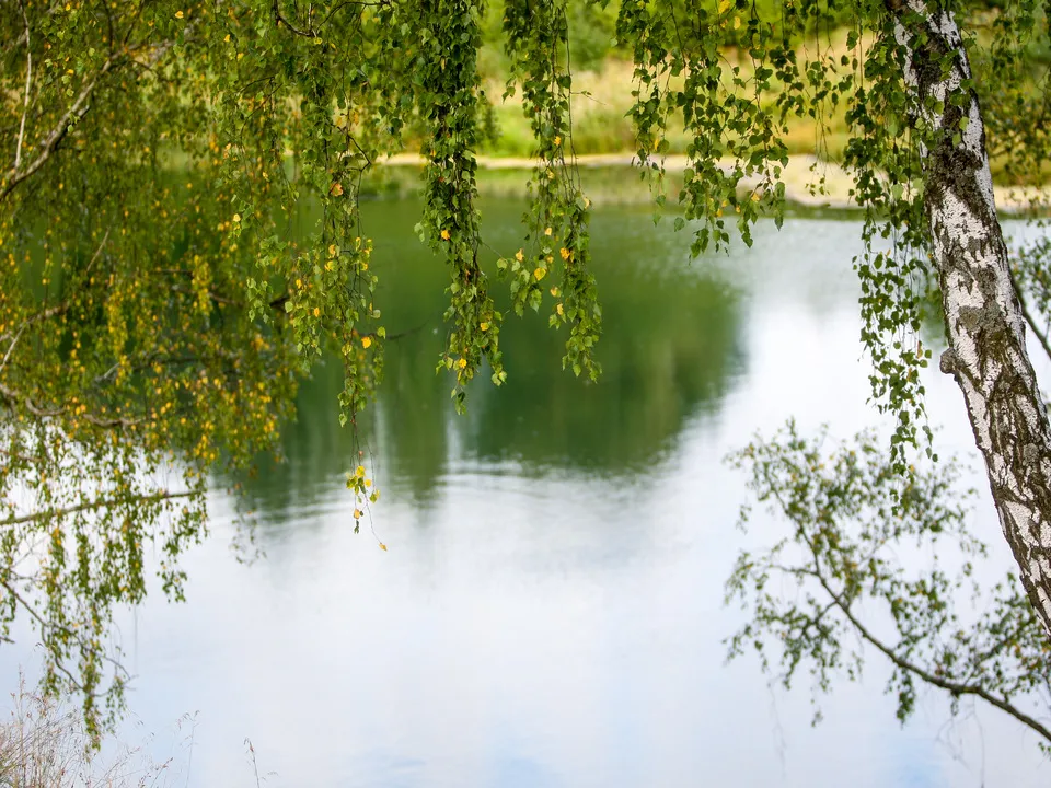 Фото: Владимир Лебедев