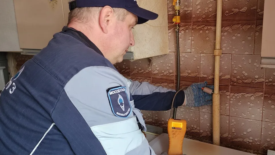 Фото: МедиаБанк Подмосковья/Валерия Тингаева