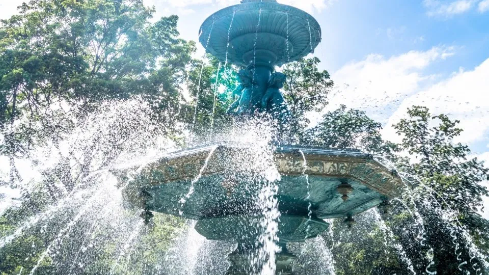 Фото: pxhere.com