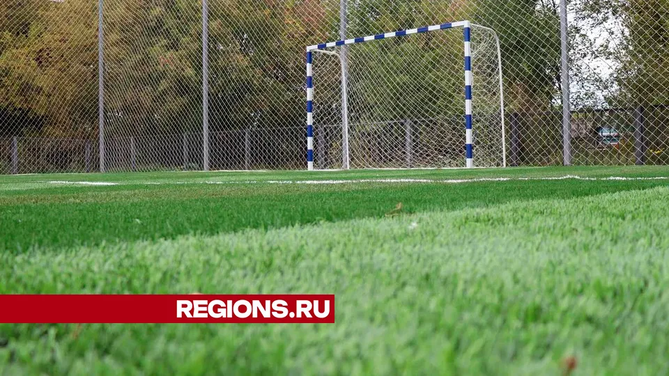 Фото: REGIONS/Василий Тремасов