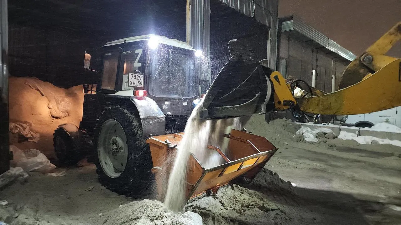 МедиаБанк Подмосковья/Валерия Исаева