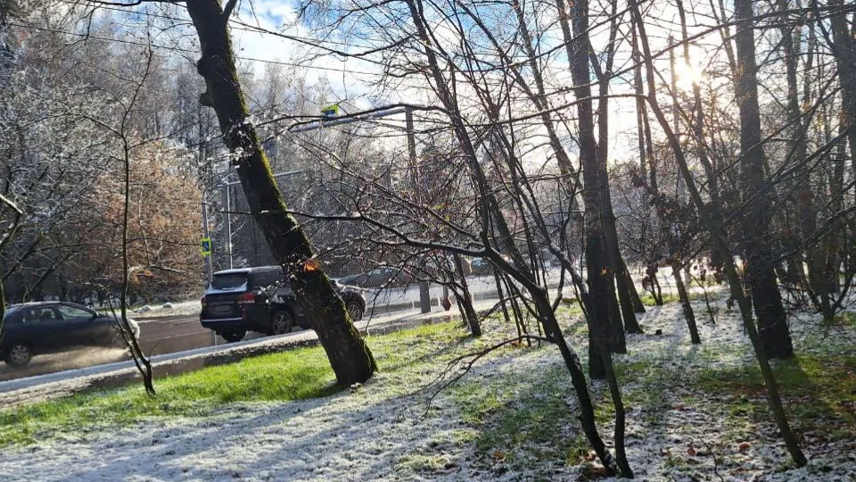 Автор: REGIONS/Катерина Антохина