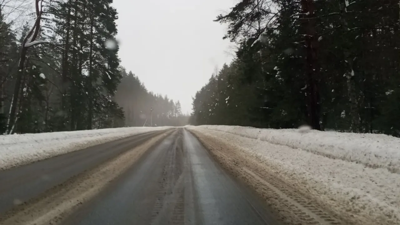 REGIONS/Василий Тремасов