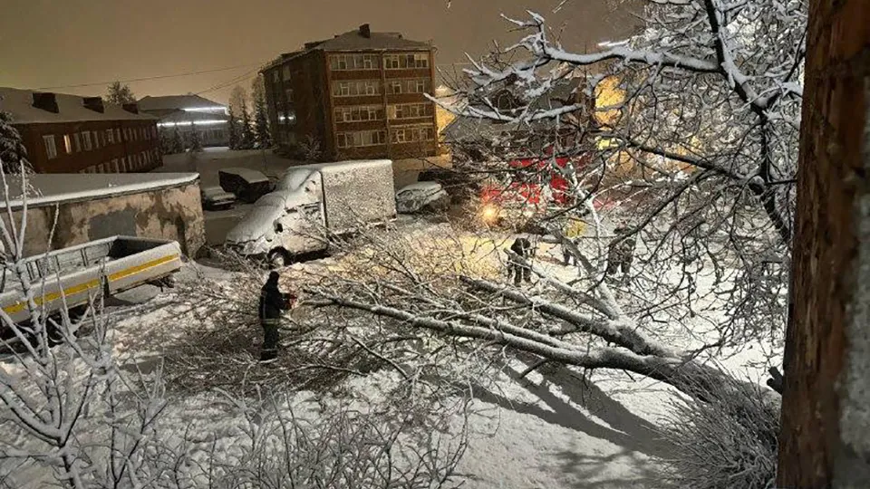 Фото: Администрация г.о. Шаховская