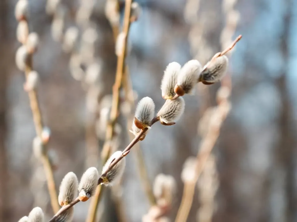 Фото: МедиаБанк Подмосковья/Мария Юдина