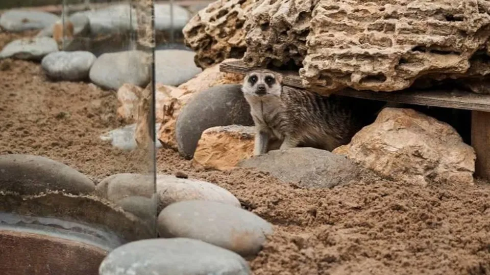 Фото: пресс-служба администрации м.о. Истра