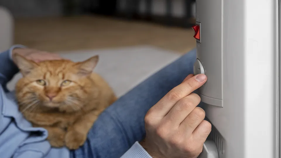 Фото: freepik.com