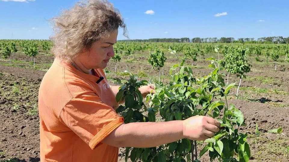 Фото: МедиаБанк Подмосковья/Юлия Скавронова