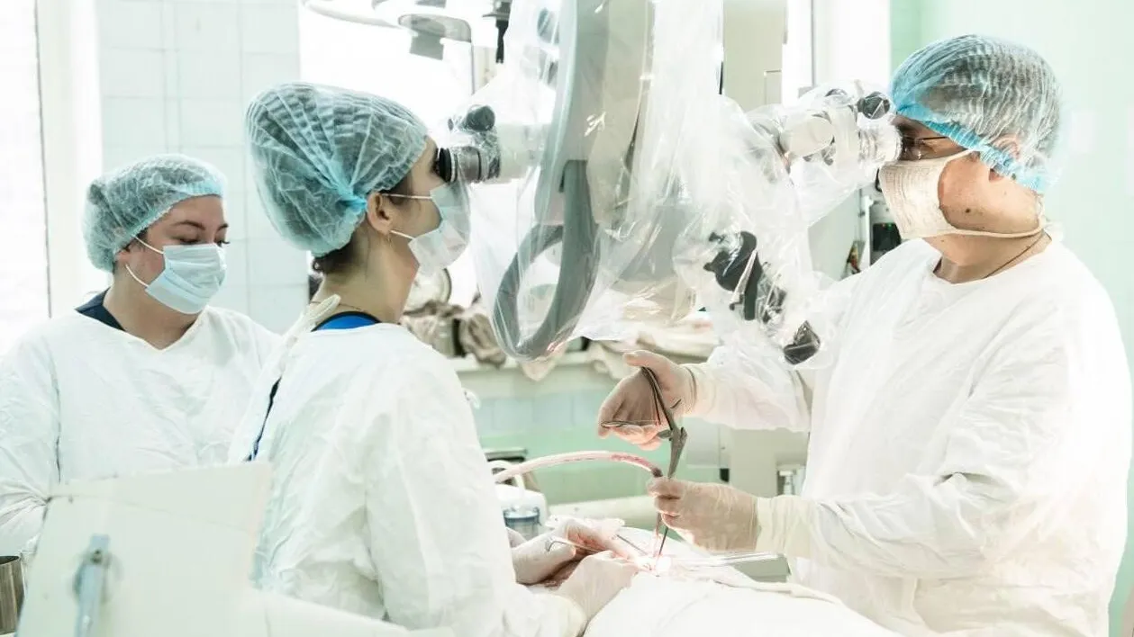 Фото: Пресс-служба Минздрава МО