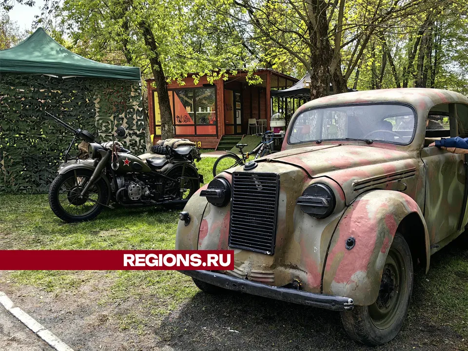 Фото: Елена Катасонова