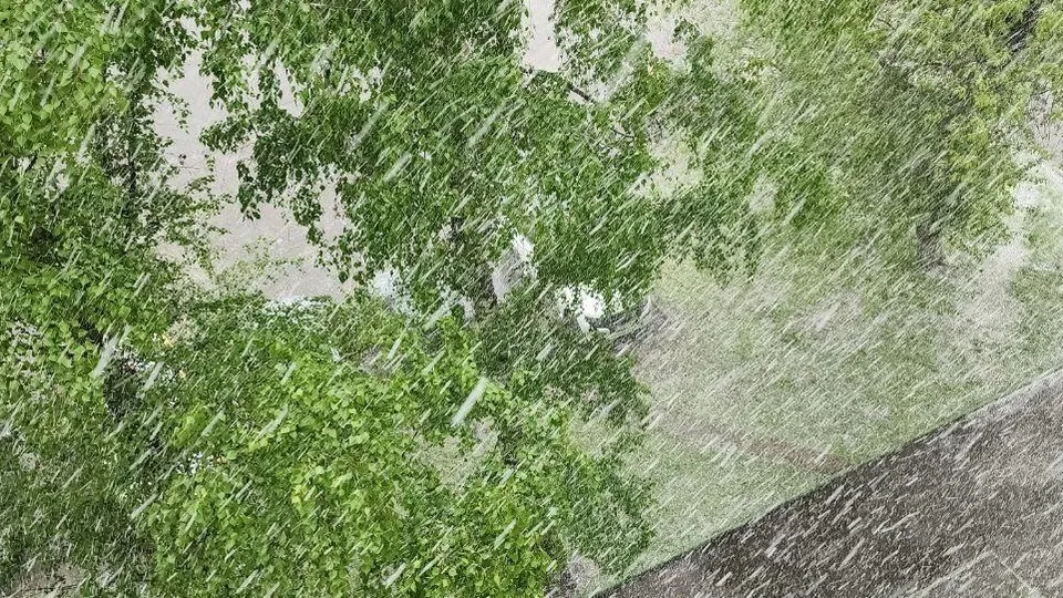 Фото: Наталья Лымарь