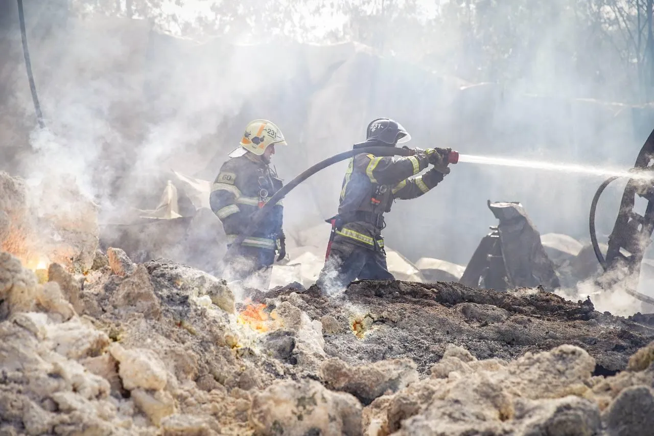 Фото: пресс-служба губернатора и правительства Московской области