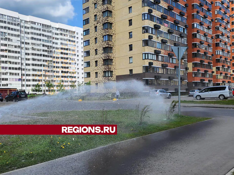 Фото: Валерия Тингаева