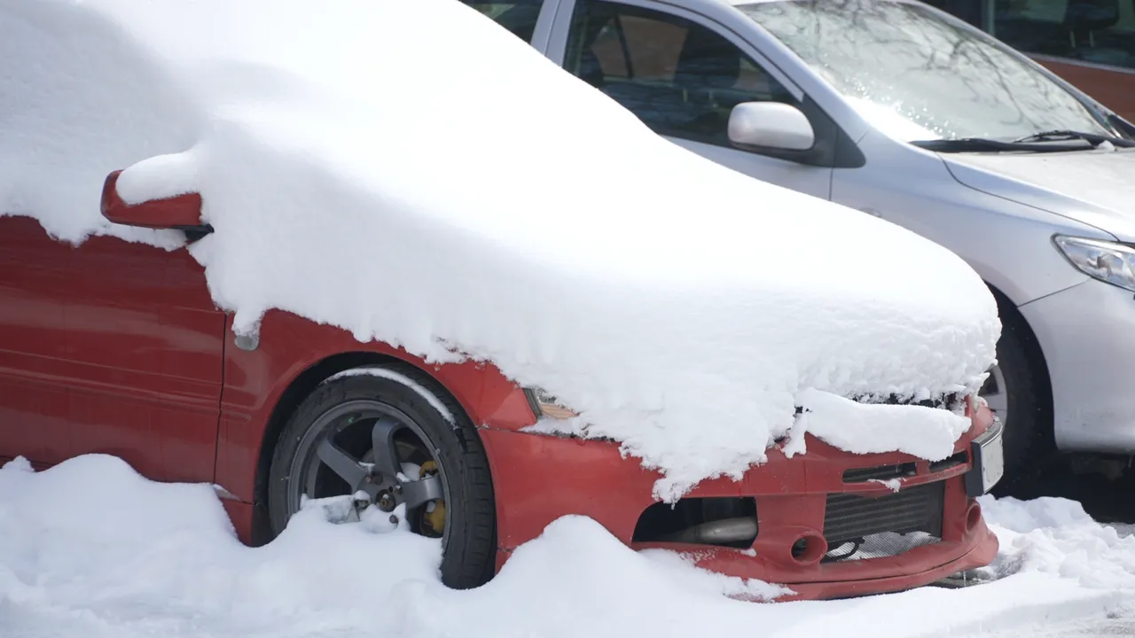 МедиаБанк Подмосковья/Елена Аботурова