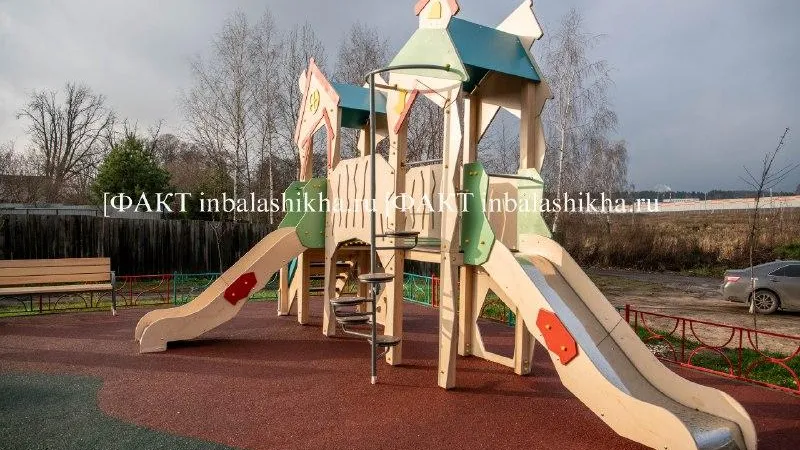 Фото: Пресс-служба администрации Балашихи