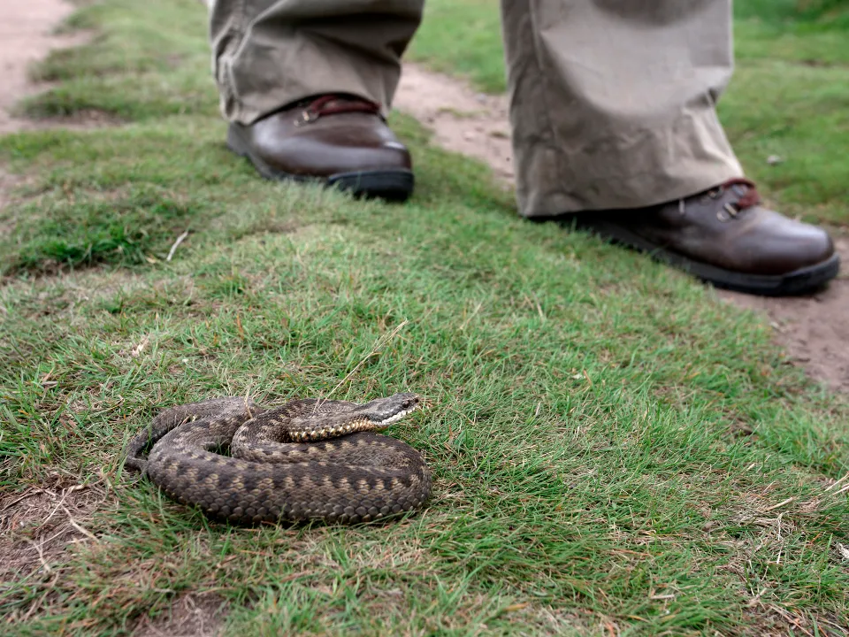 Фото: istockphoto.com