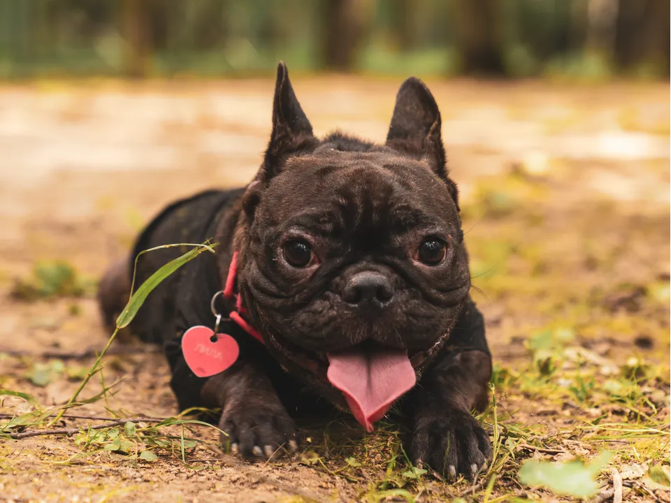 Фото: REGIONS/Наталия Надточая