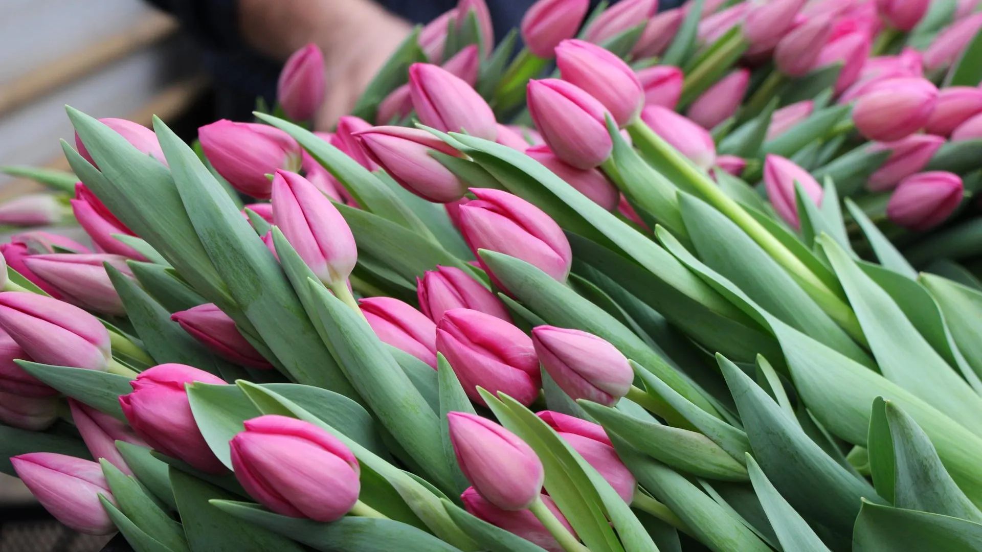 медиасток.рф