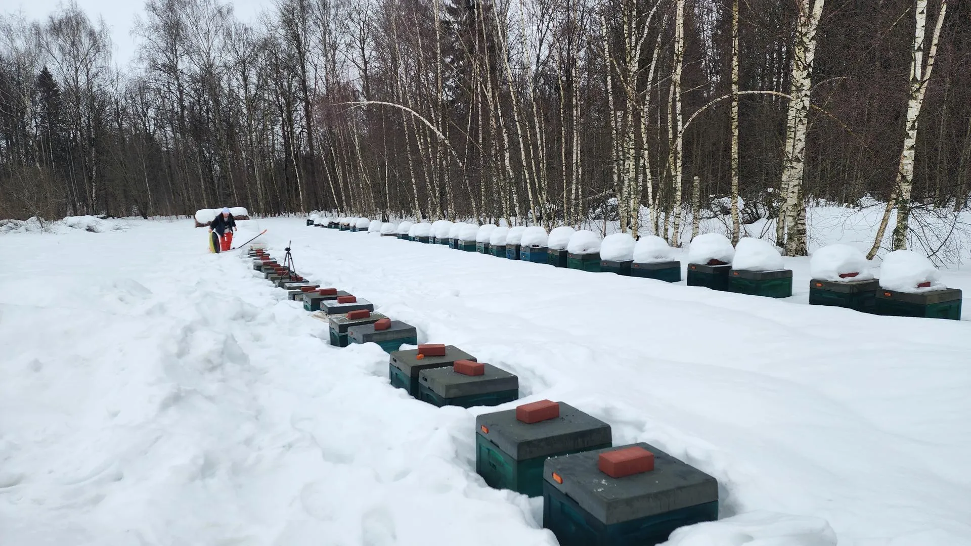 МедиаБанк Подмосковья/Валентина Максимова