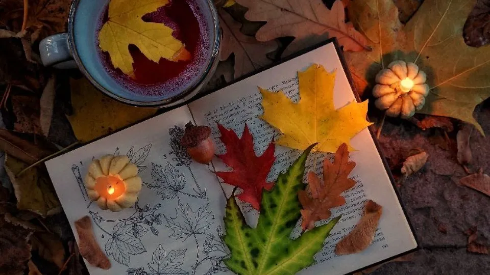 Фото: МедиаБанк Подмосковья/Наталья Савилова