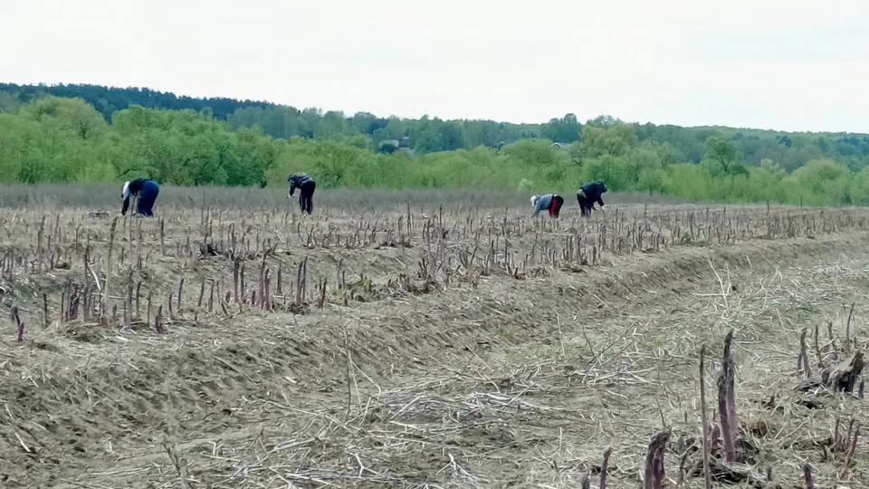 Фото: ООО «Варищи»
