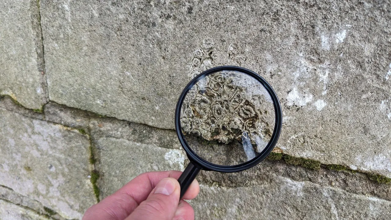 Фото: ГМЗ «Зарайский кремль».