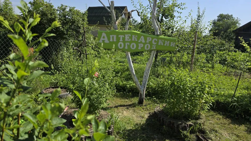 Фото: МедиаБанк Подмосковья/Яна Шаливская
