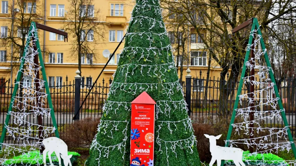 Фото: t.me/dmitriyvikulov