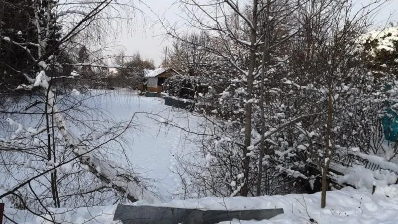 Дачники из Рузы устранили нарушение прямо во время проверки Минэкологии