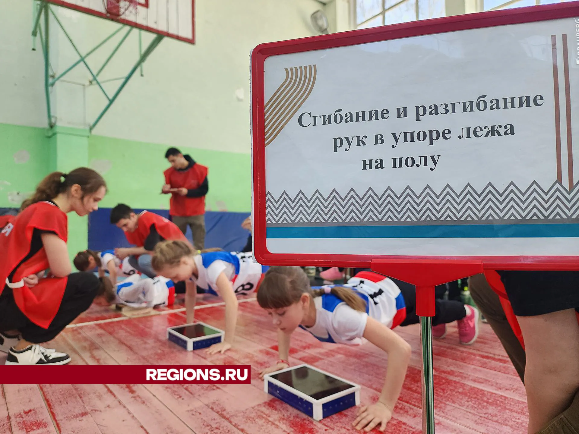 Фото: Светлана Плотникова