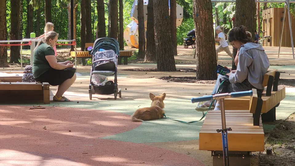 Фото: МедиаБанк Подмосковья/Хавива Фонина