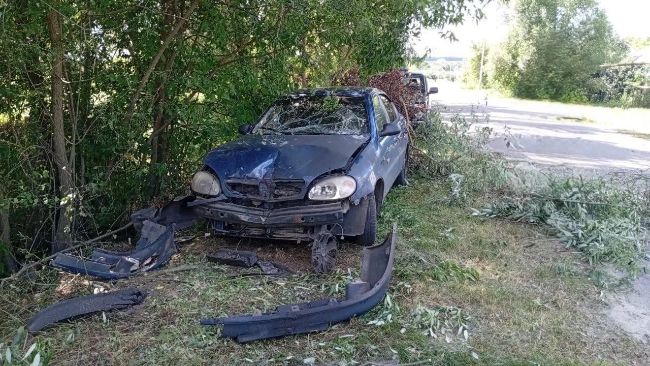 Губернатор Белгородской области Вячеслав Гладков