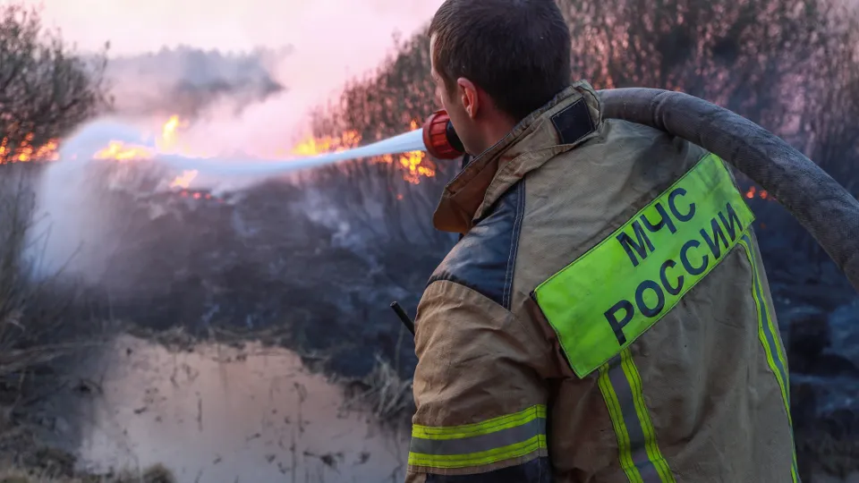 Фото: ТАСС/Максим Слуцкий