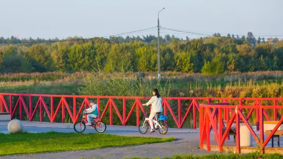 Фото: Министерство благоустройства Московской области