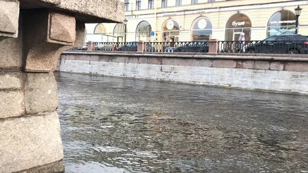 «Невские новости»