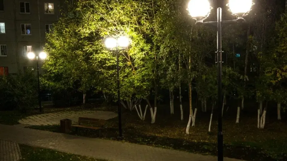 Фото: Министерство благоустройства Московской области