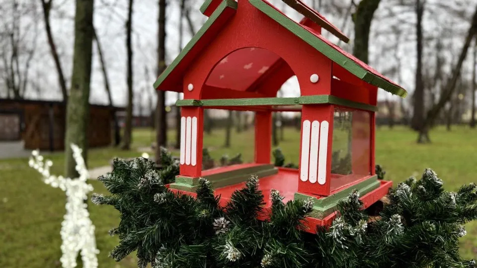 Фото: МАУК «Парки Серпухова»