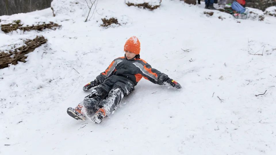 Фото: freepik.com