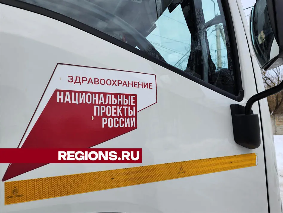 Фото: Валерия Тингаева