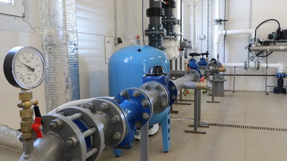 Фото: Ирина Матвеева