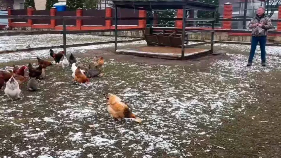 Фото: t.me/viktorpetruchenko