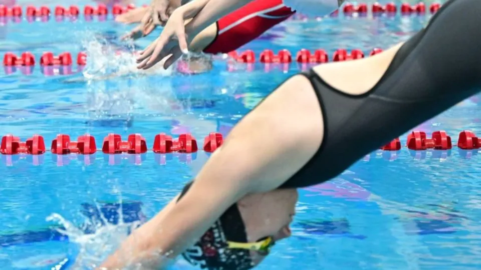 Фото: пресс-служба администрации м.о. Истра