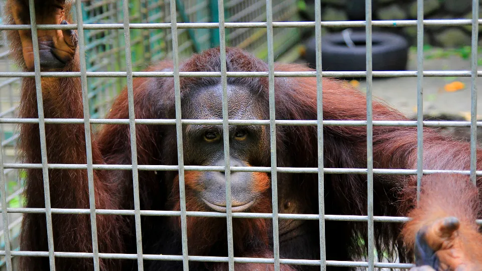 Фото: istockphoto.com